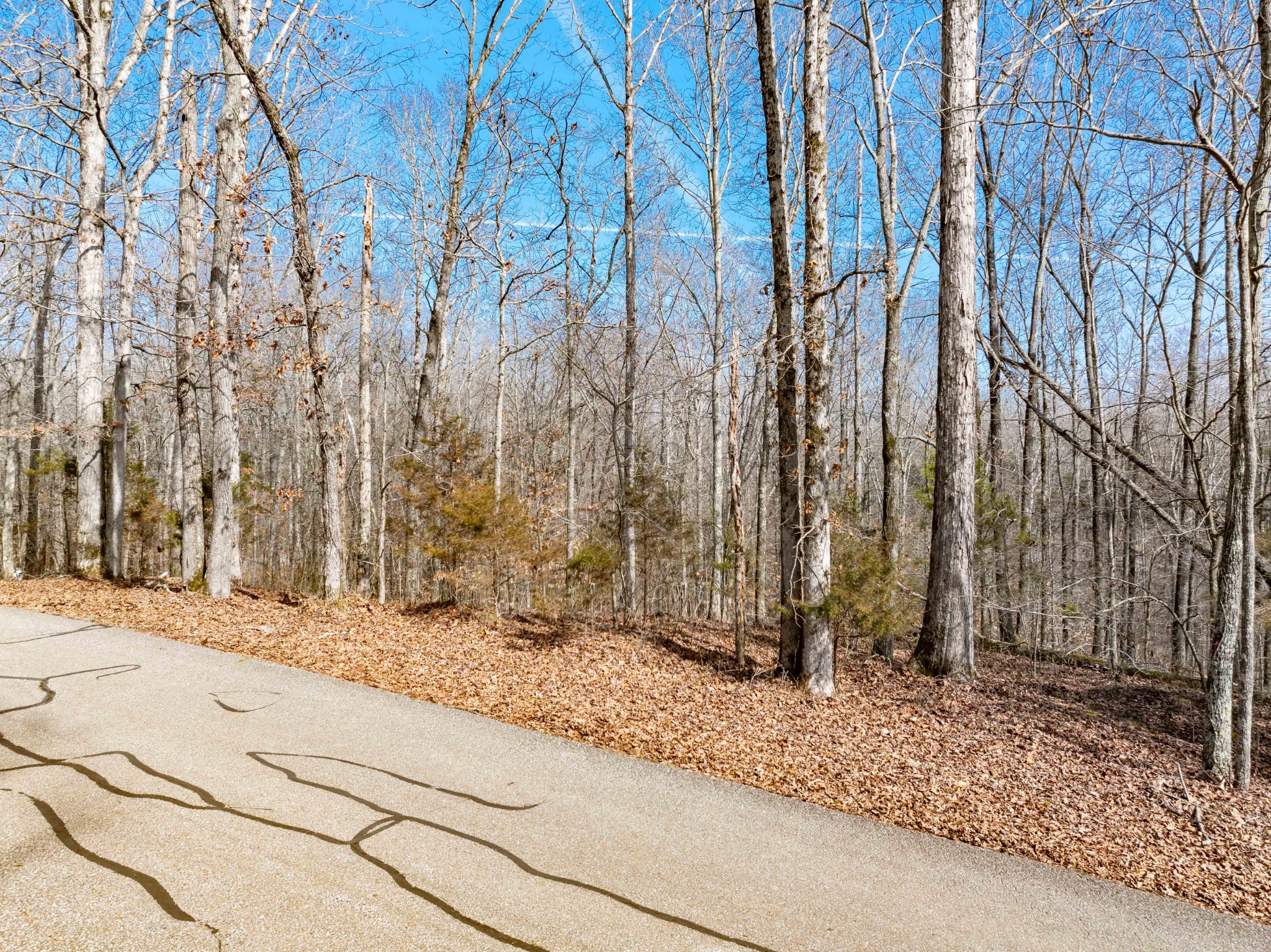 0 Fawn Ridge Road Parsons TN 38363