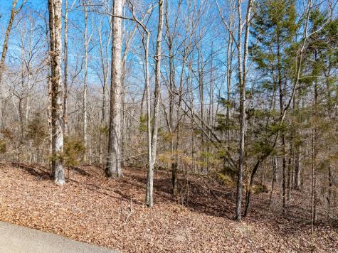 0 Fawn Ridge Road Parsons TN 38363