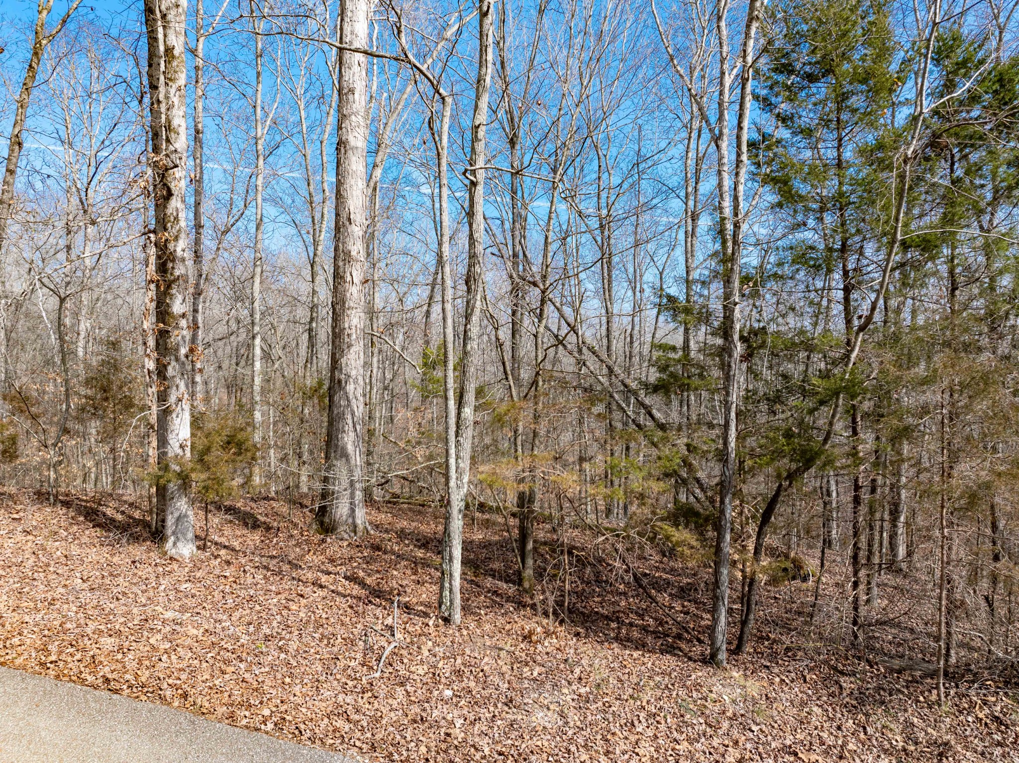 0 Fawn Ridge Road Parsons TN 38363
