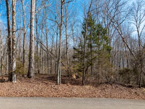 0 Fawn Ridge Road Parsons TN 38363
