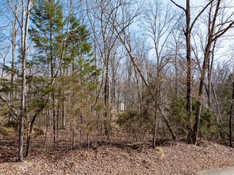 0 Fawn Ridge Road Parsons TN 38363