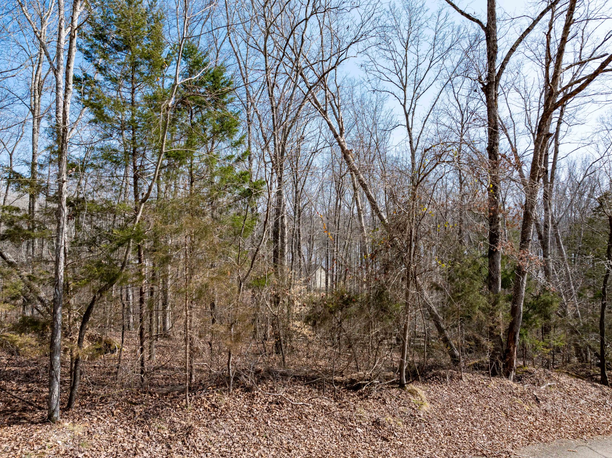 0 Fawn Ridge Road Parsons TN 38363