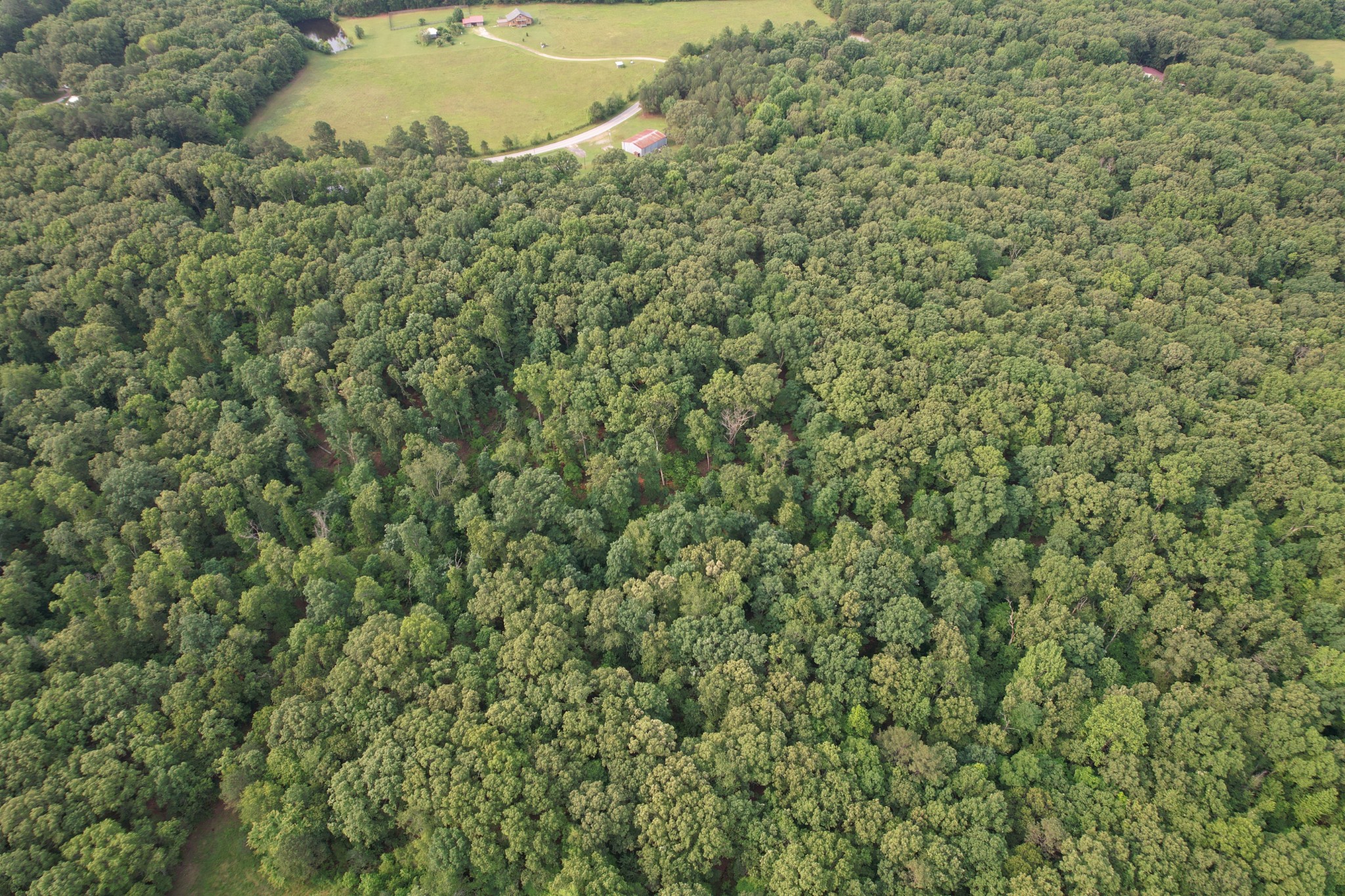 0 Webb Road Extension Summertown TN 38483