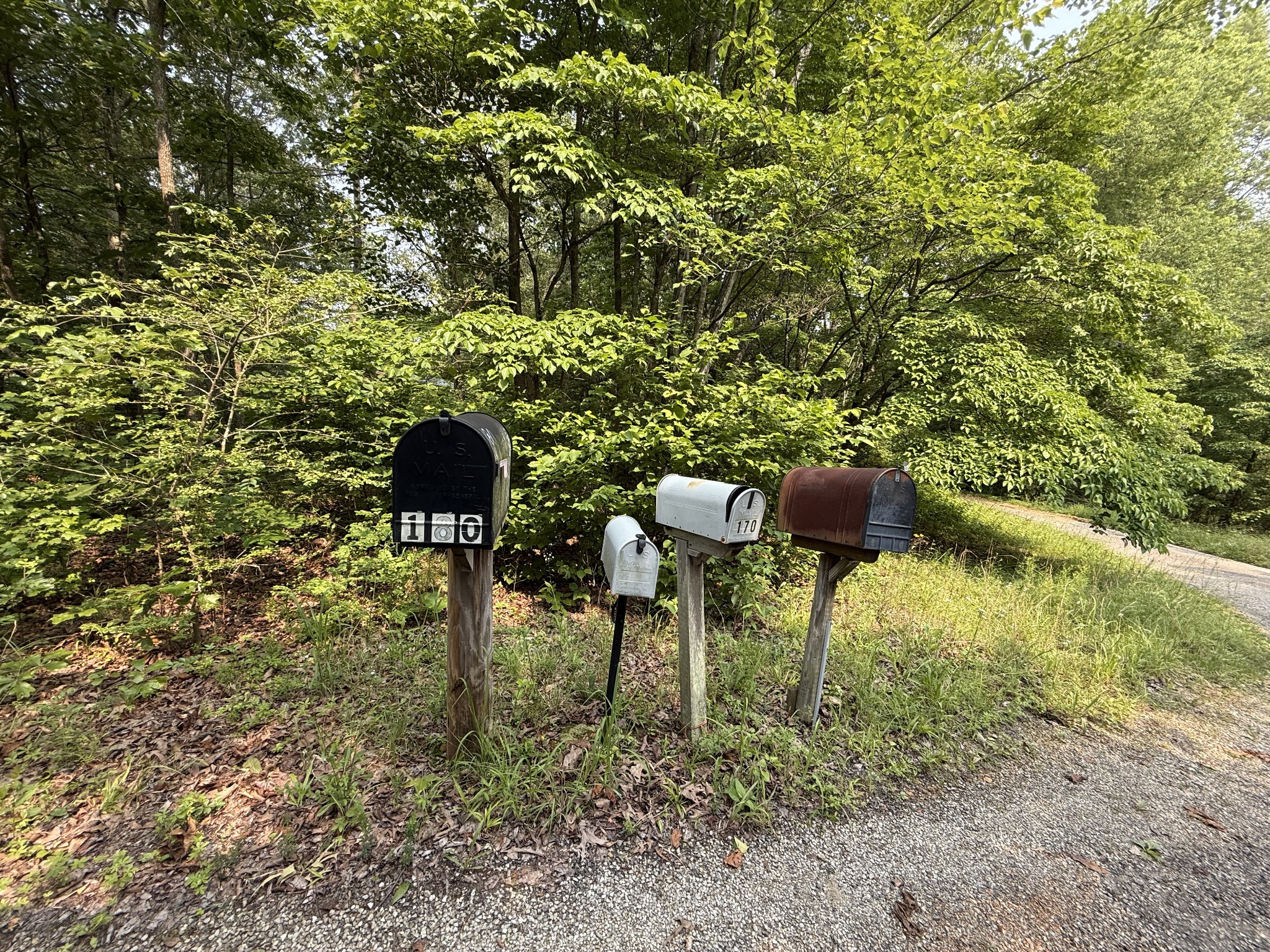0 Webb Road Extension Summertown TN 38483