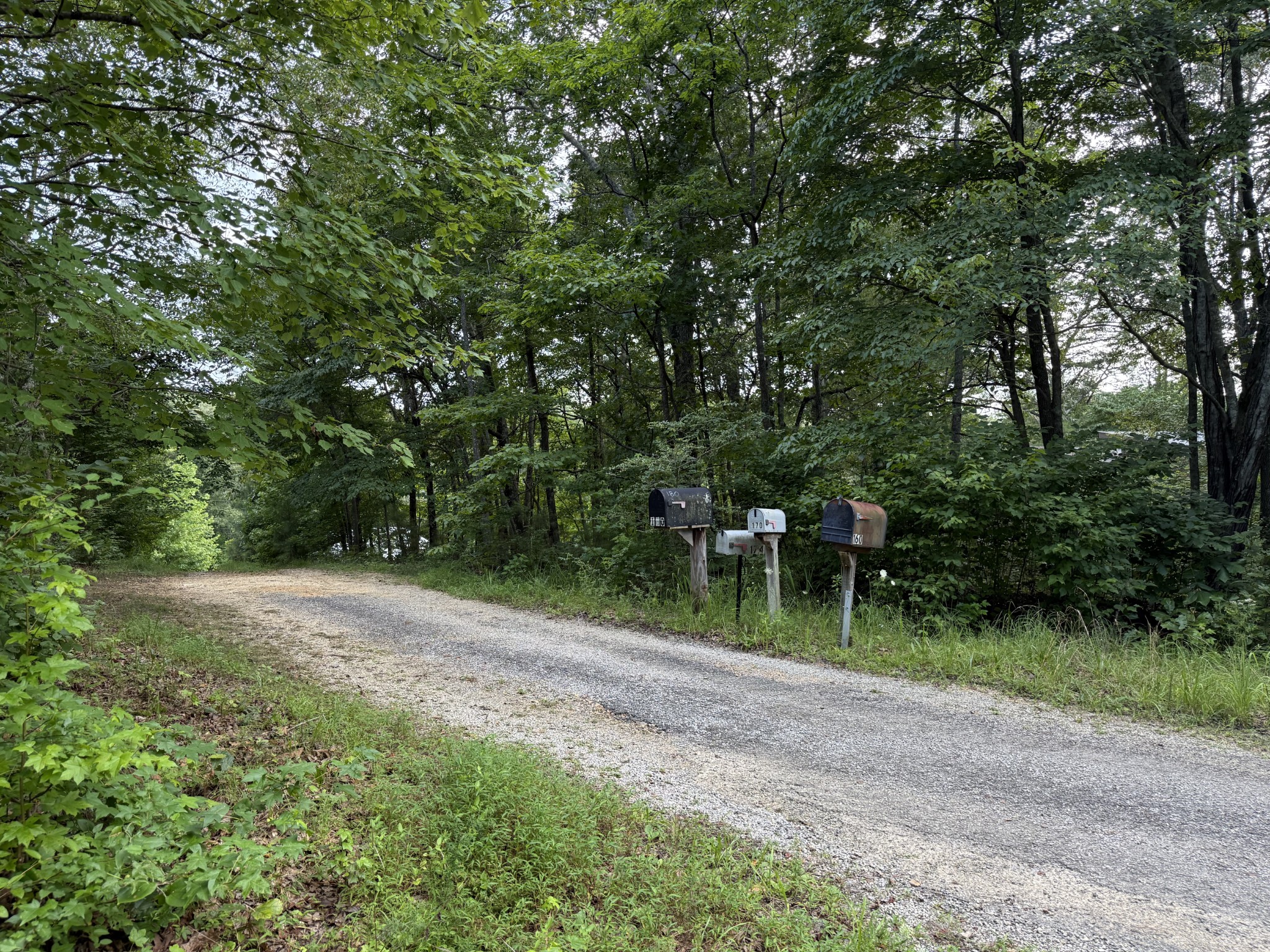 0 Webb Road Extension Summertown TN 38483