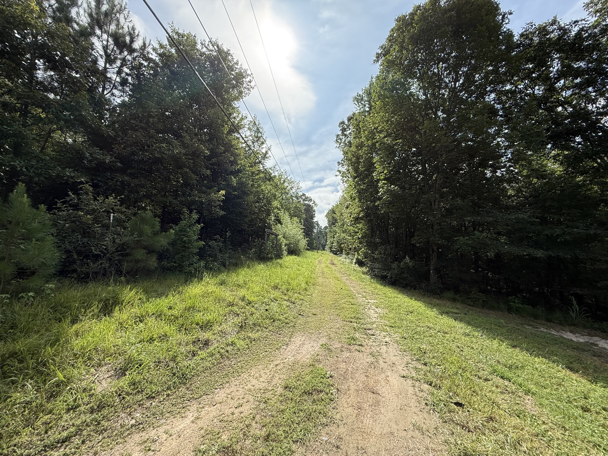 0 Webb Road Extension Summertown TN 38483
