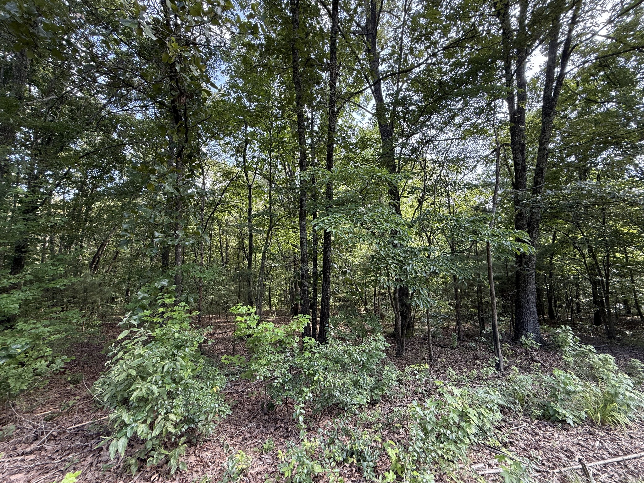 0 Webb Road Extension Summertown TN 38483