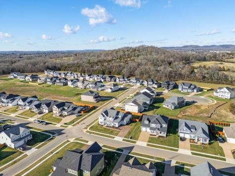 1052 Pine Creek Drive Arrington TN 37014