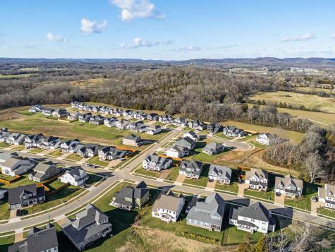 1052 Pine Creek Drive Arrington TN 37014