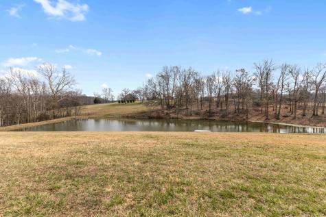 1103 Rogues Fork Road Bethpage TN 37022