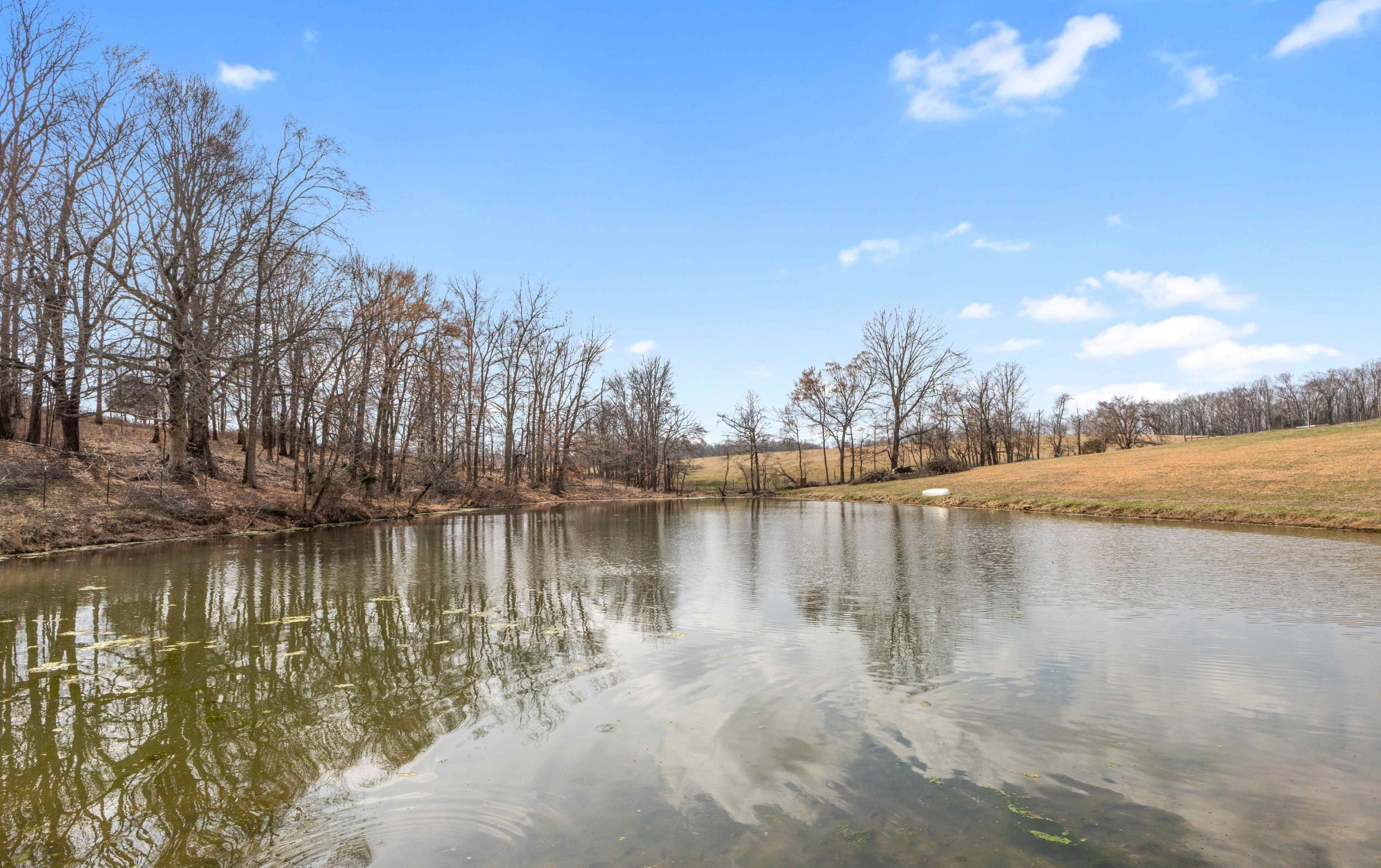 1103 Rogues Fork Road Bethpage TN 37022