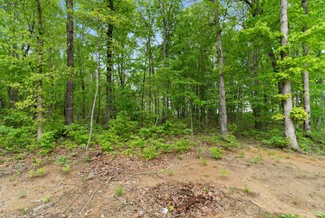 85 Twilight Point Monteagle TN 37356