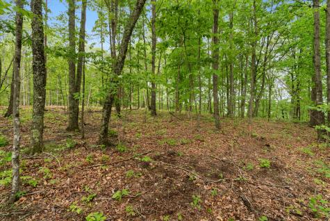 85 Twilight Point Monteagle TN 37356