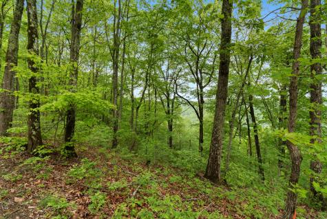 85 Twilight Point Monteagle TN 37356