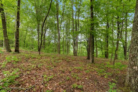 85 Twilight Point Monteagle TN 37356