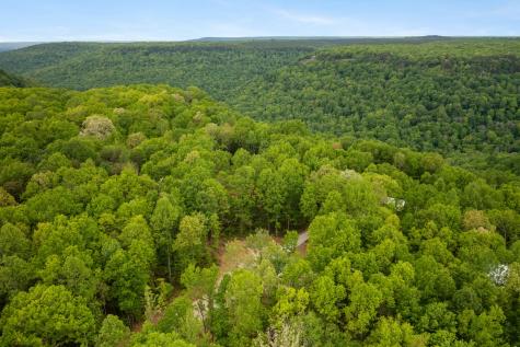 85 Twilight Point Monteagle TN 37356