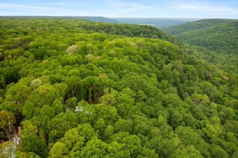 85 Twilight Point Monteagle TN 37356