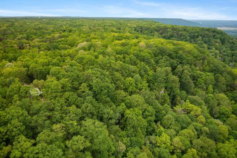 85 Twilight Point Monteagle TN 37356