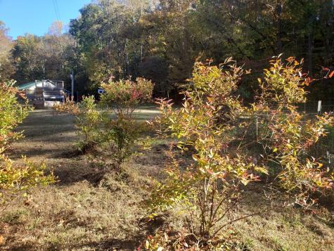 168 Three Springs Road Nunnelly TN 37137
