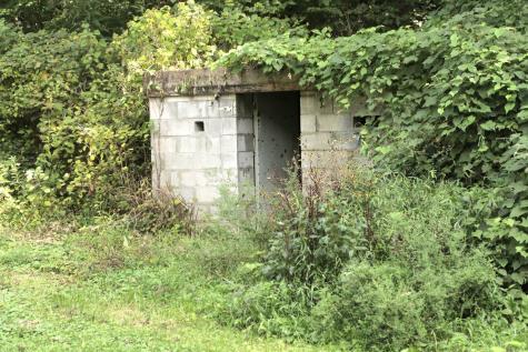168 Three Springs Road Nunnelly TN 37137