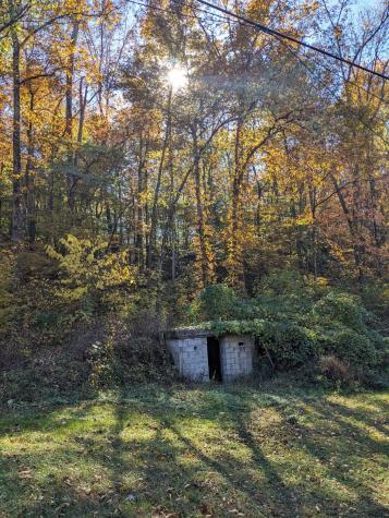 168 Three Springs Road Nunnelly TN 37137