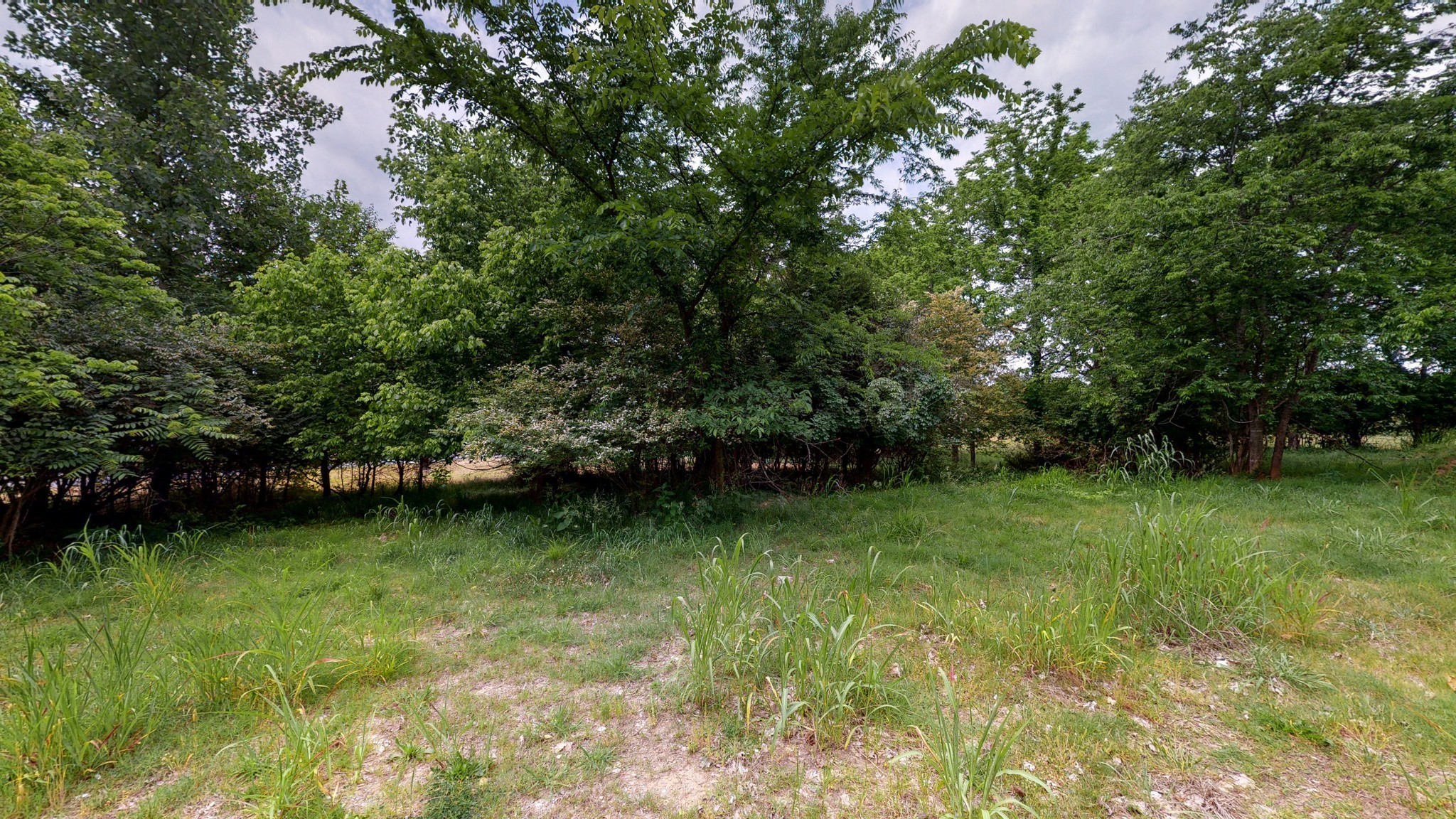10615 Lebanon Road Mount Juliet TN 37122