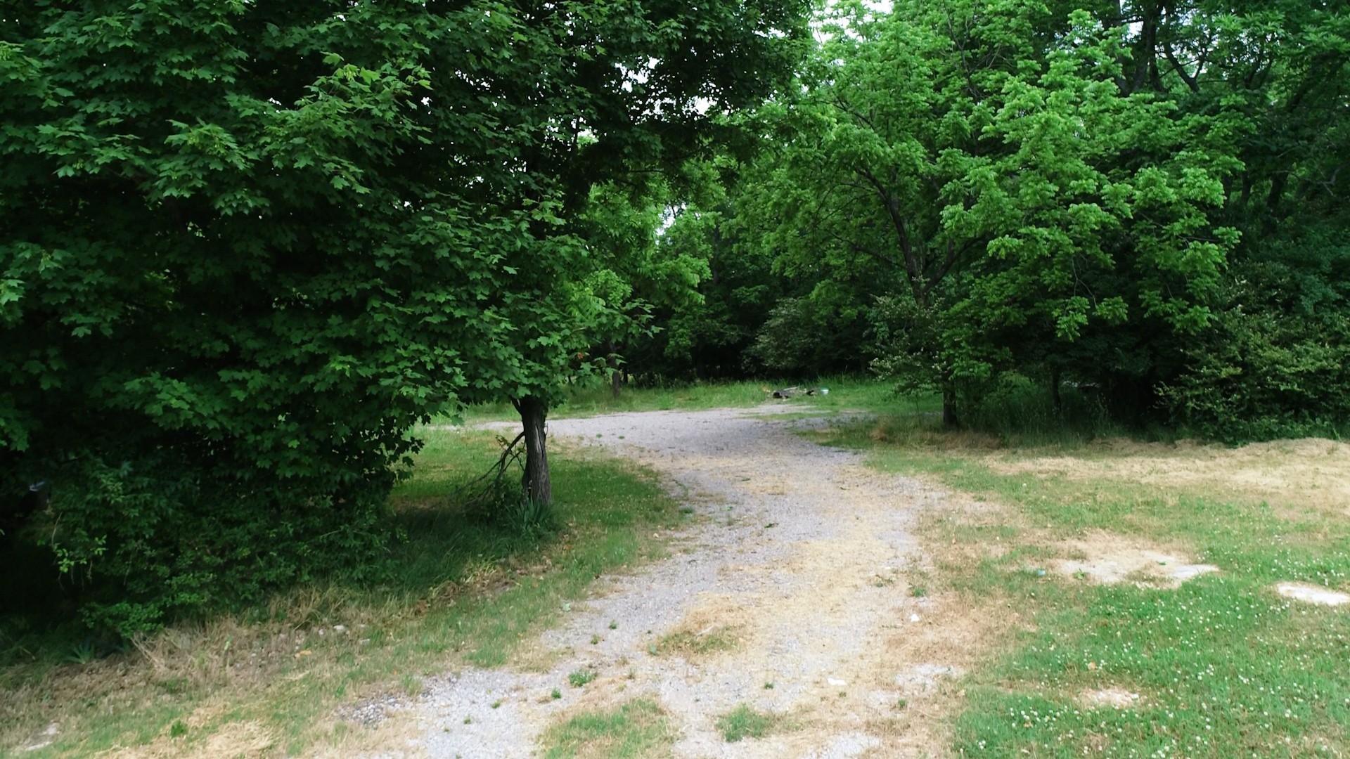 10615 Lebanon Road Mount Juliet TN 37122