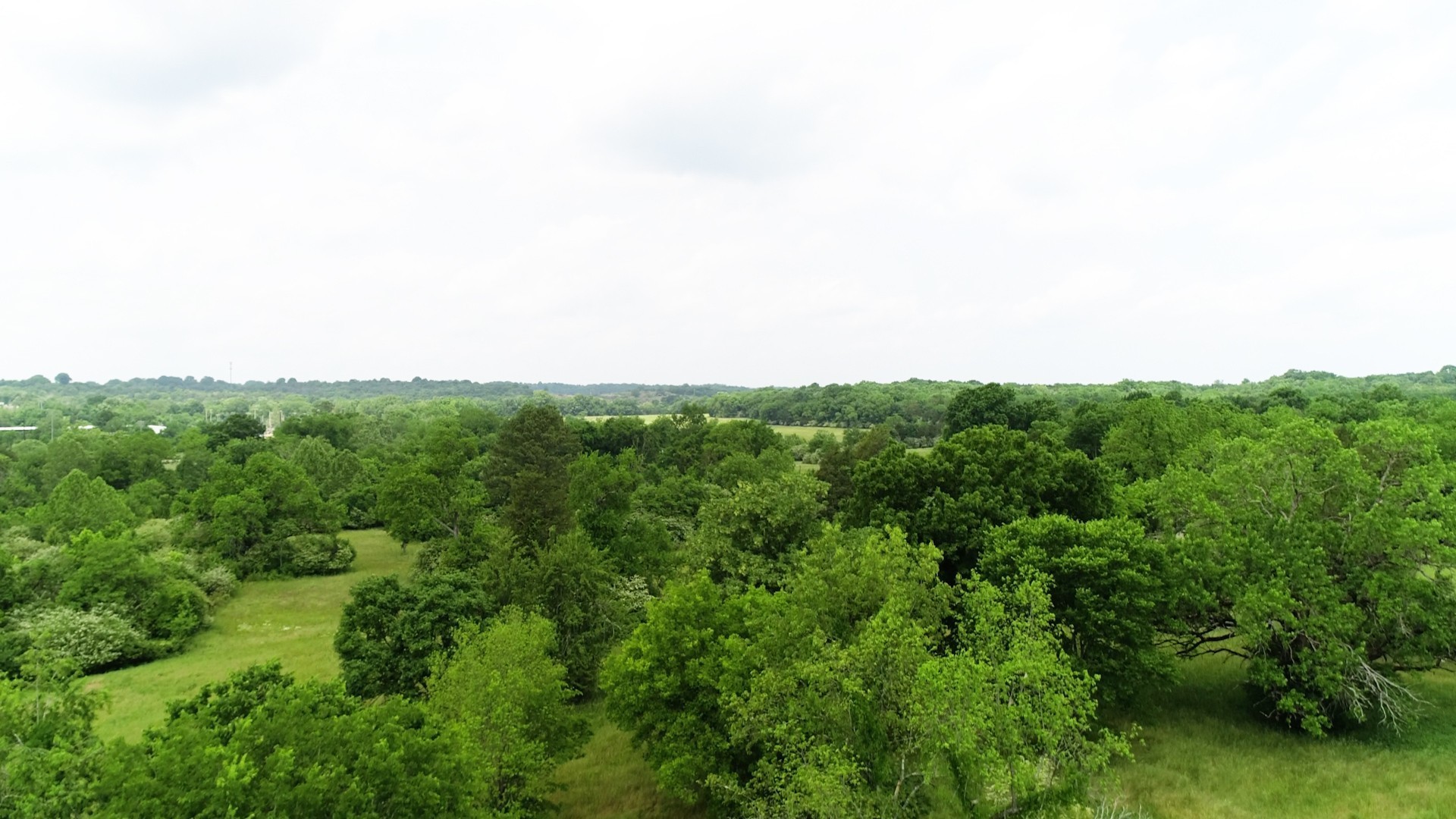 10615 Lebanon Road Mount Juliet TN 37122