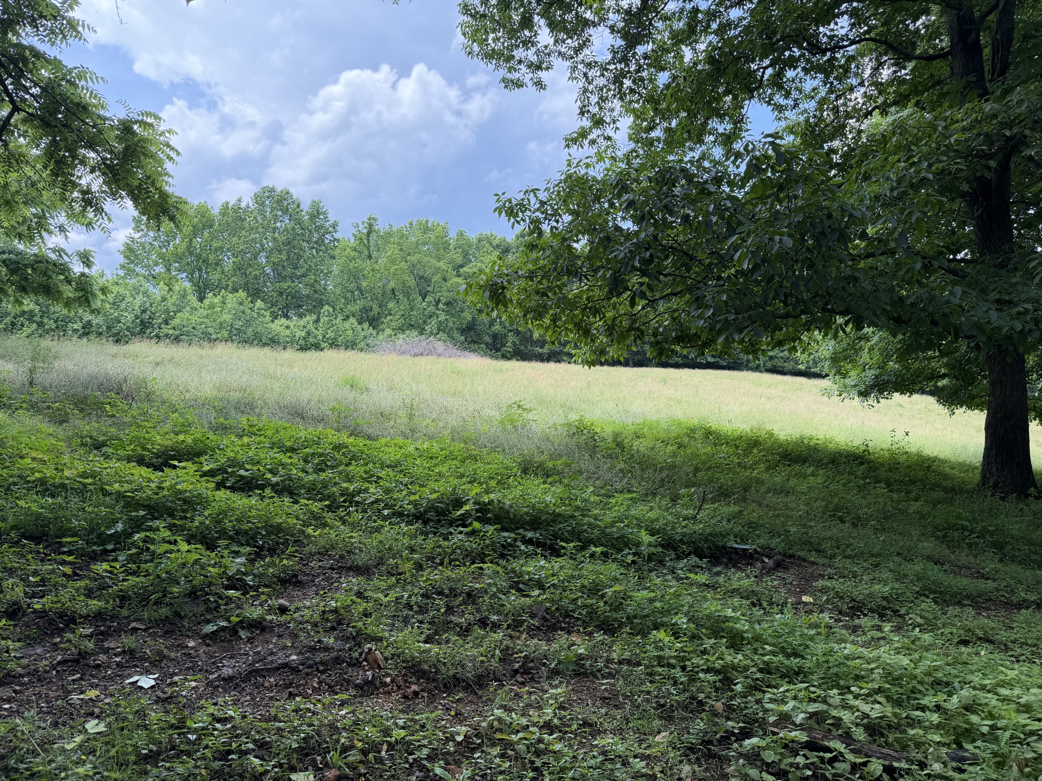 0 Ridge Road Belvidere TN 37306