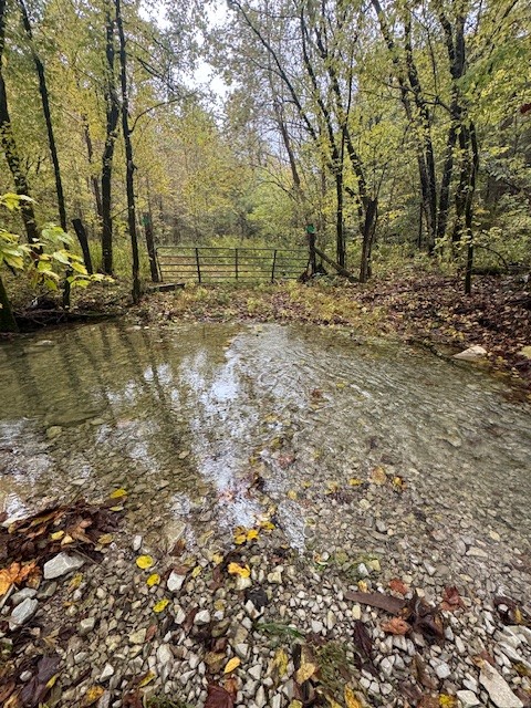 0 Mcbroom Branch Road Baxter TN 38544