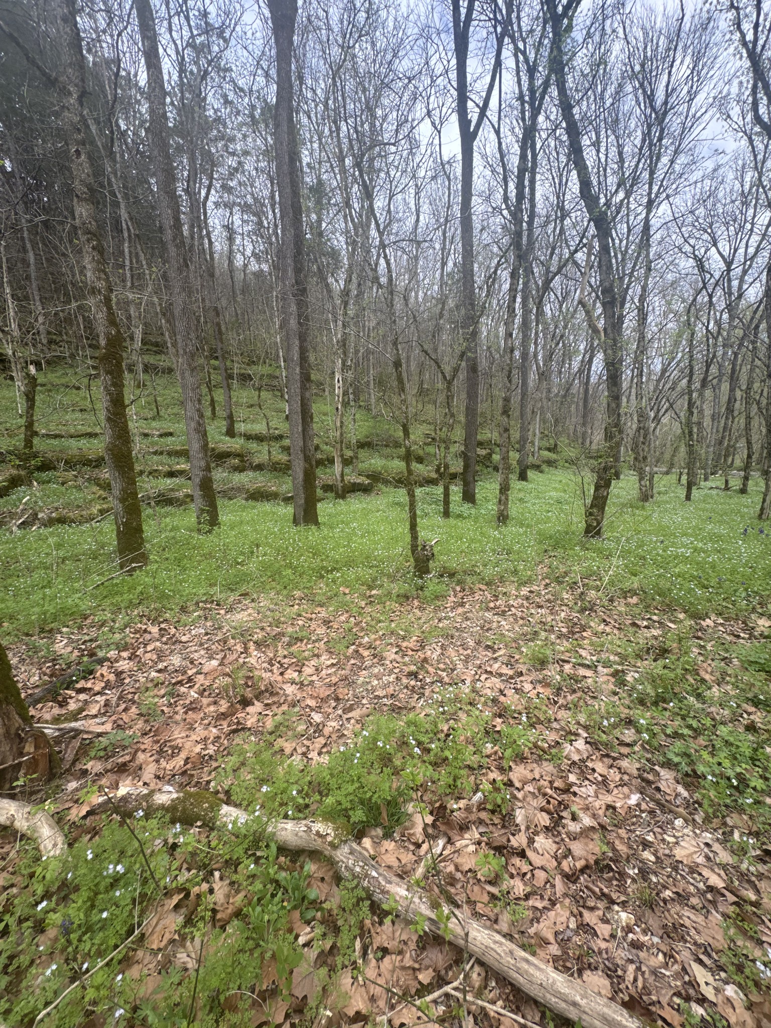 0 Mcbroom Branch Road Baxter TN 38544