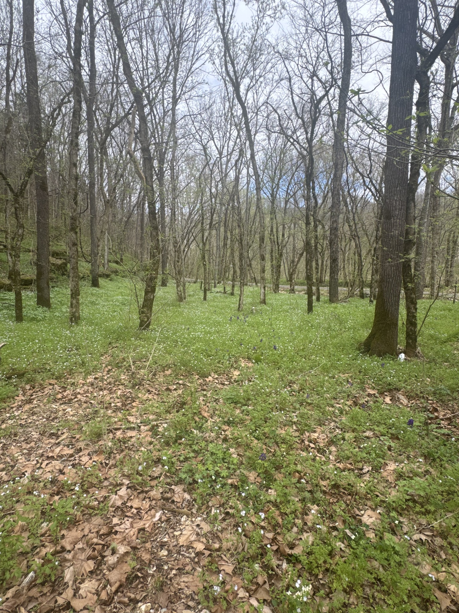 0 Mcbroom Branch Road Baxter TN 38544