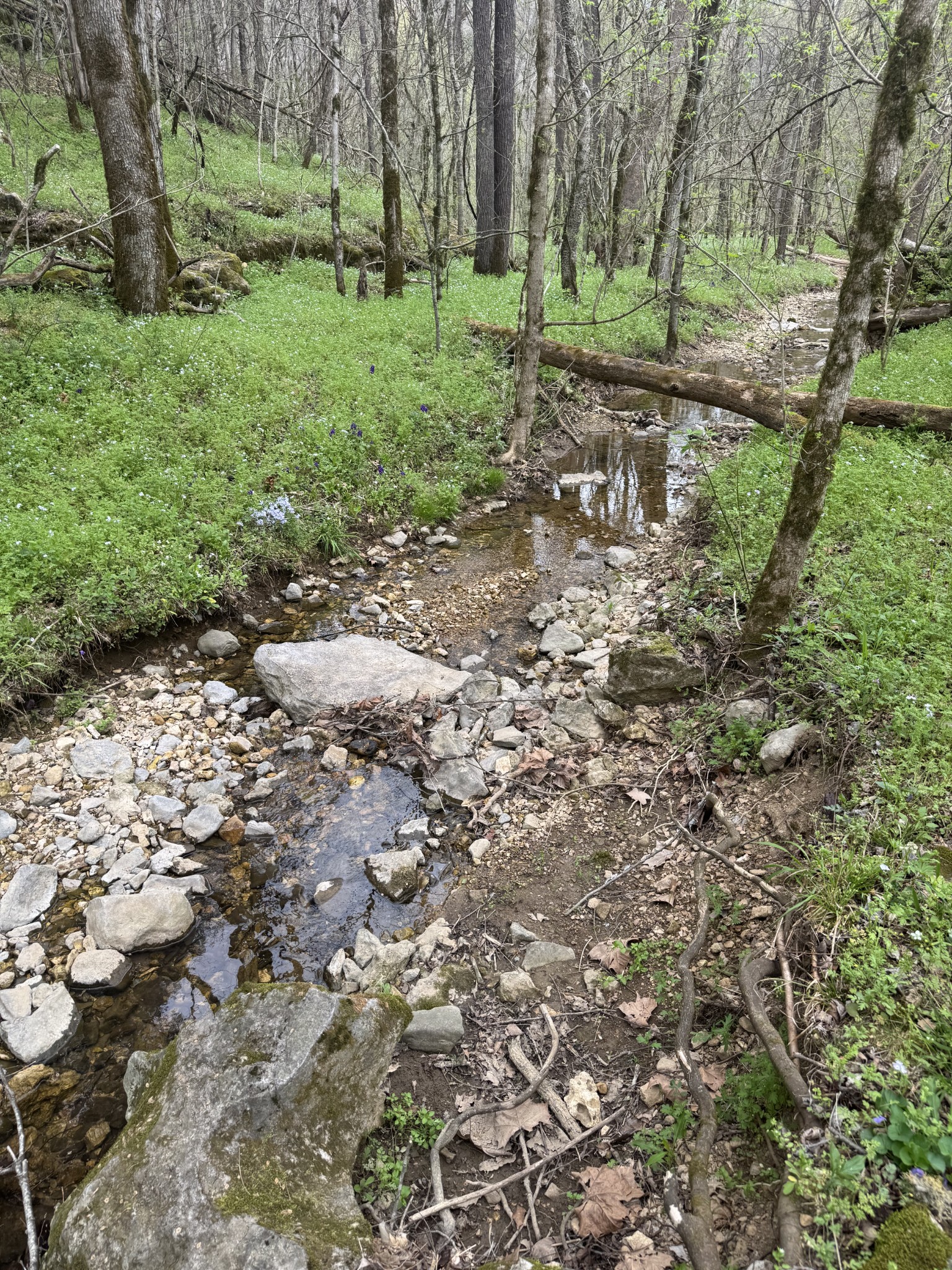 0 Mcbroom Branch Road Baxter TN 38544