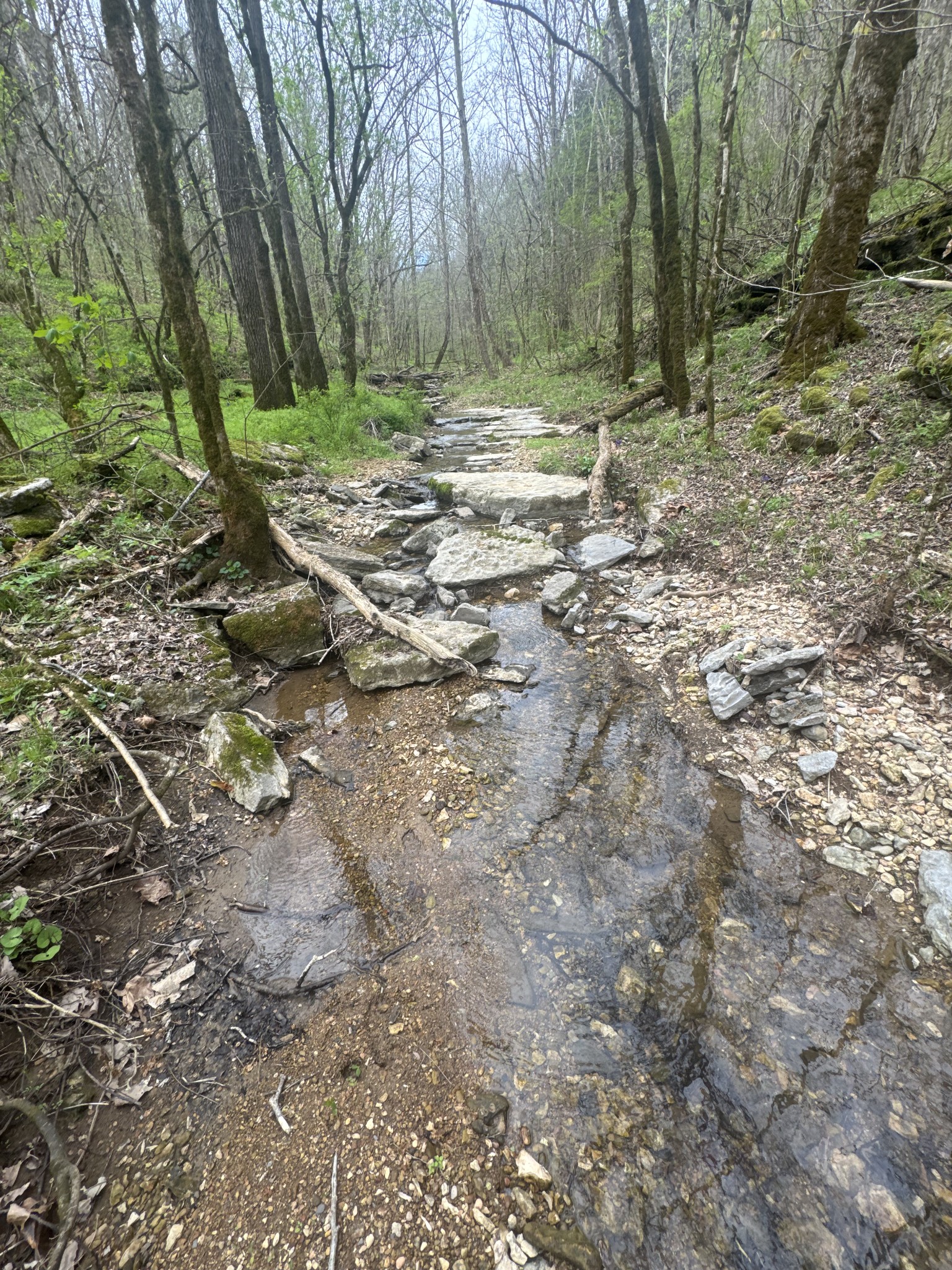 0 Mcbroom Branch Road Baxter TN 38544