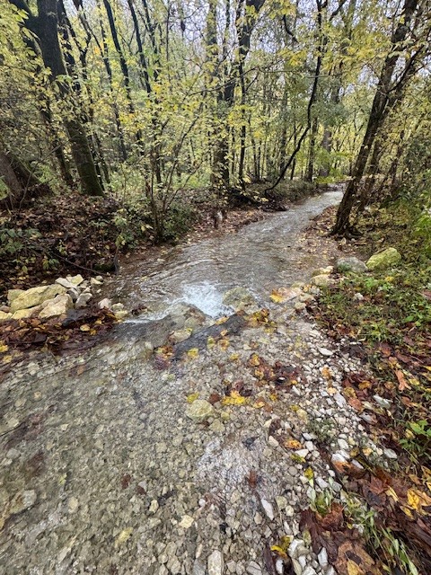 0 Mcbroom Branch Road Baxter TN 38544