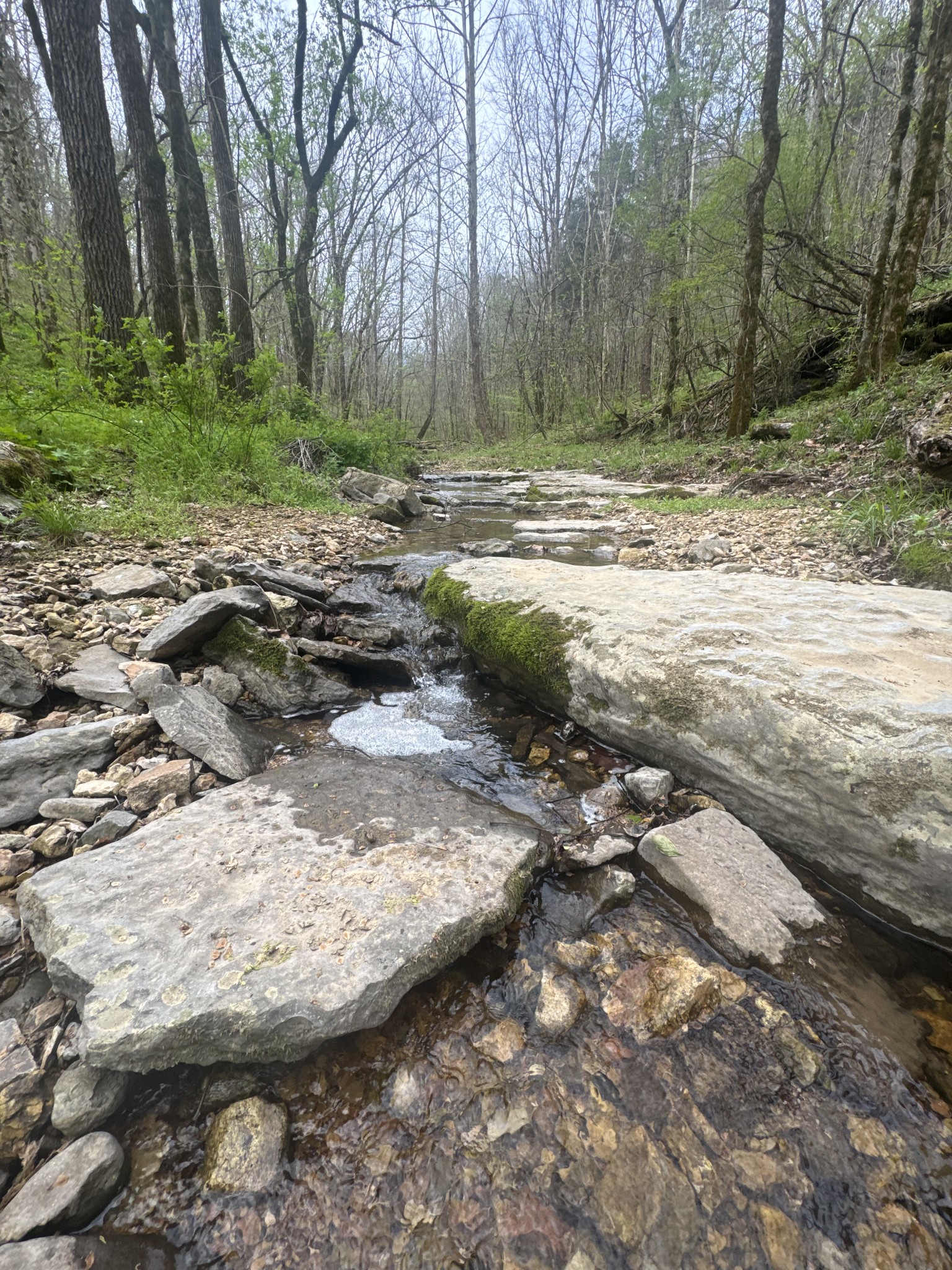 0 Mcbroom Branch Road Baxter TN 38544