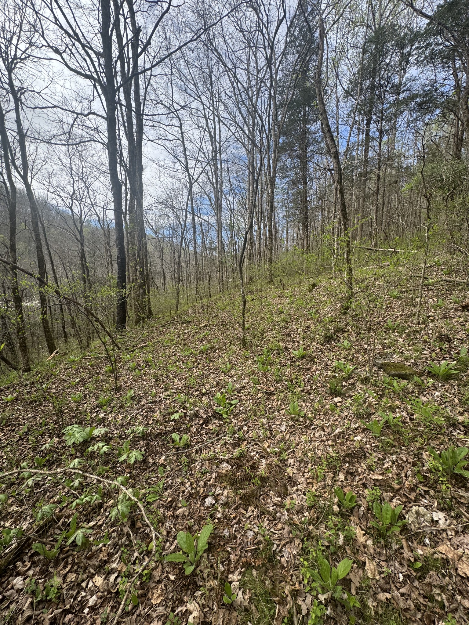 0 Mcbroom Branch Road Baxter TN 38544