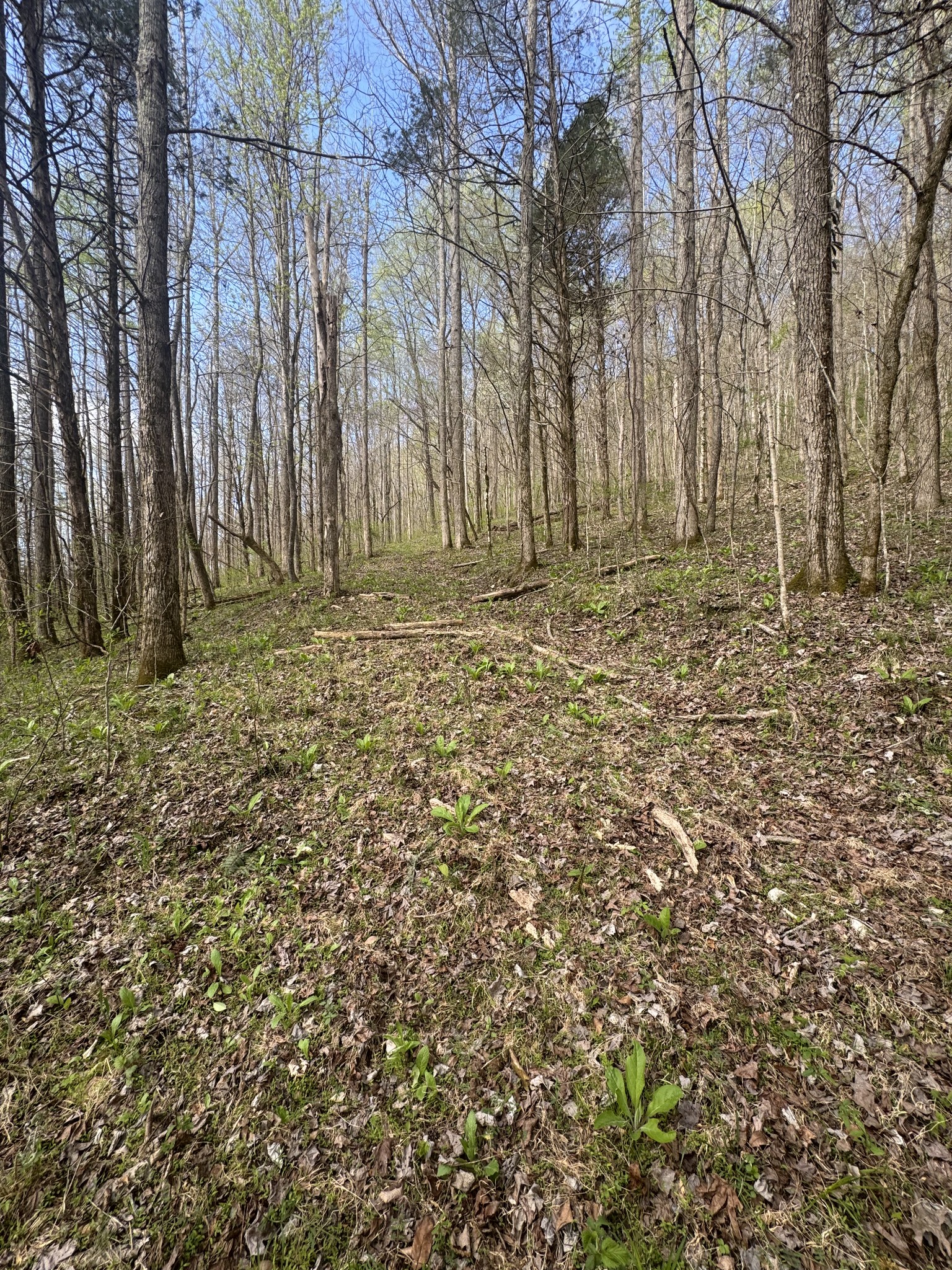 0 Mcbroom Branch Road Baxter TN 38544