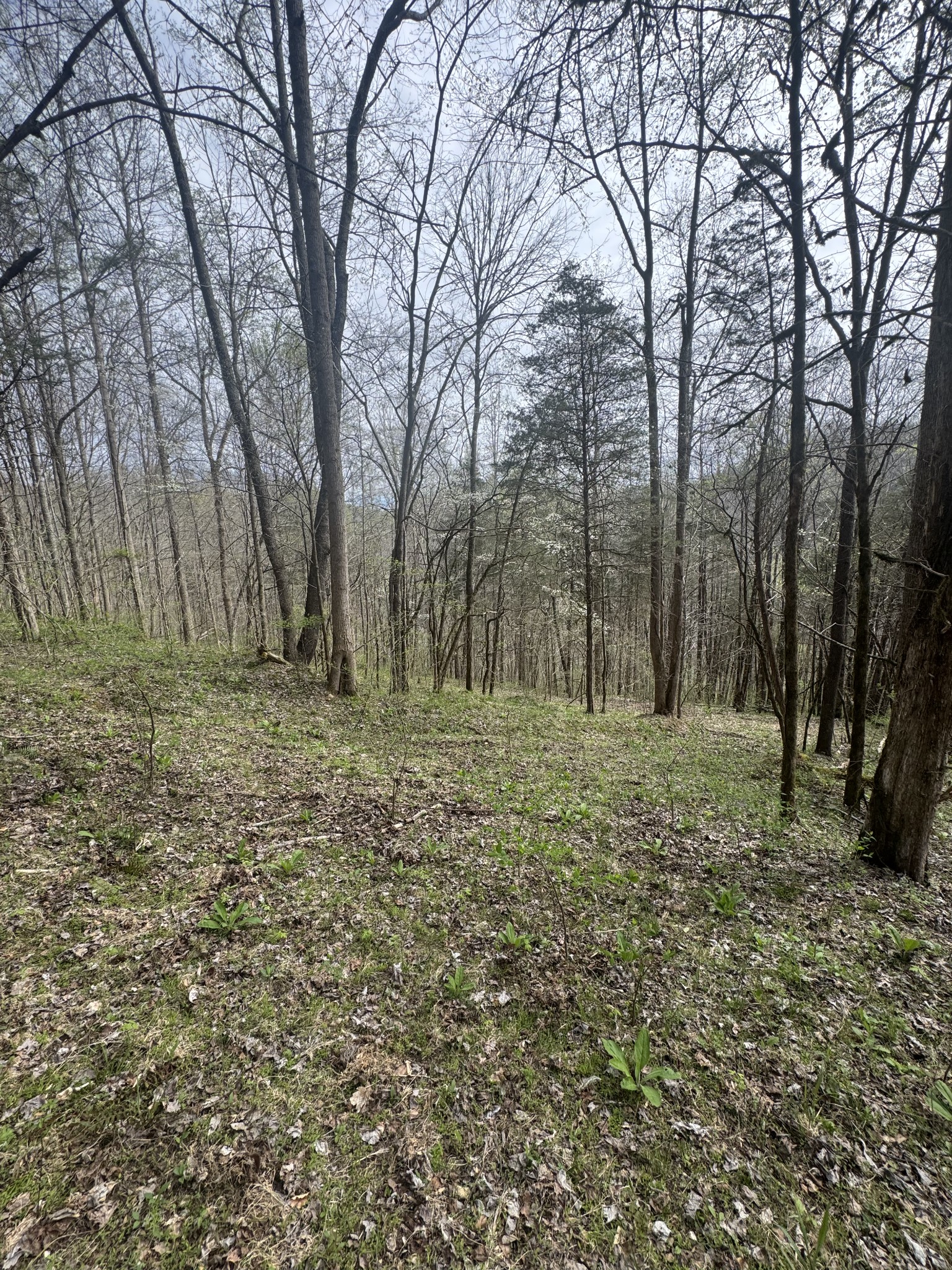 0 Mcbroom Branch Road Baxter TN 38544