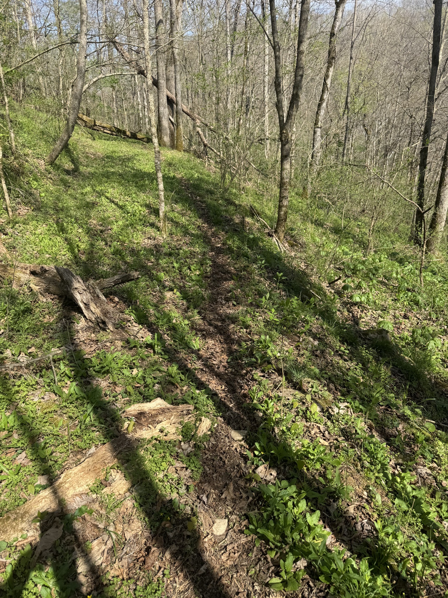 0 Mcbroom Branch Road Baxter TN 38544