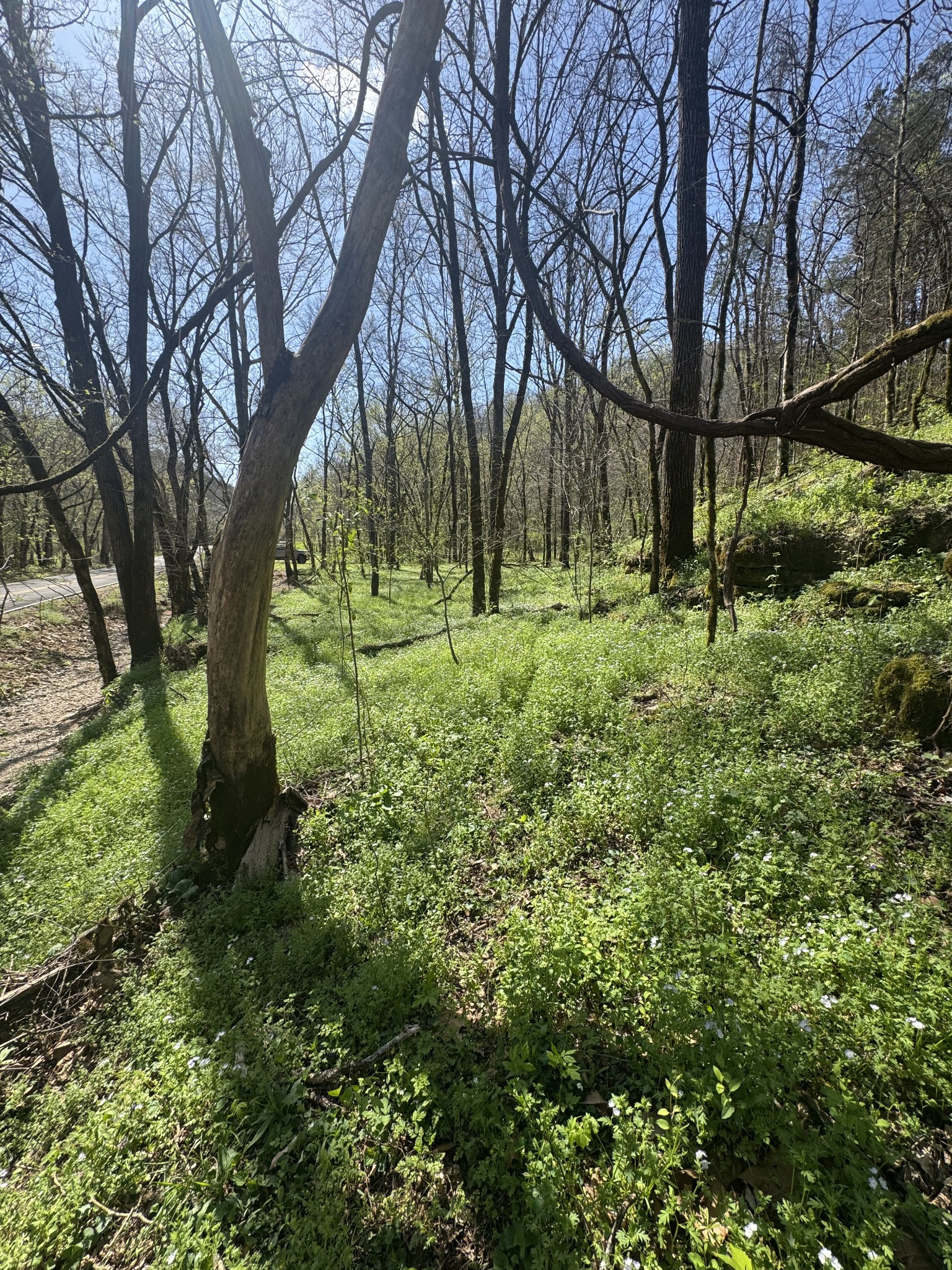 0 Mcbroom Branch Road Baxter TN 38544