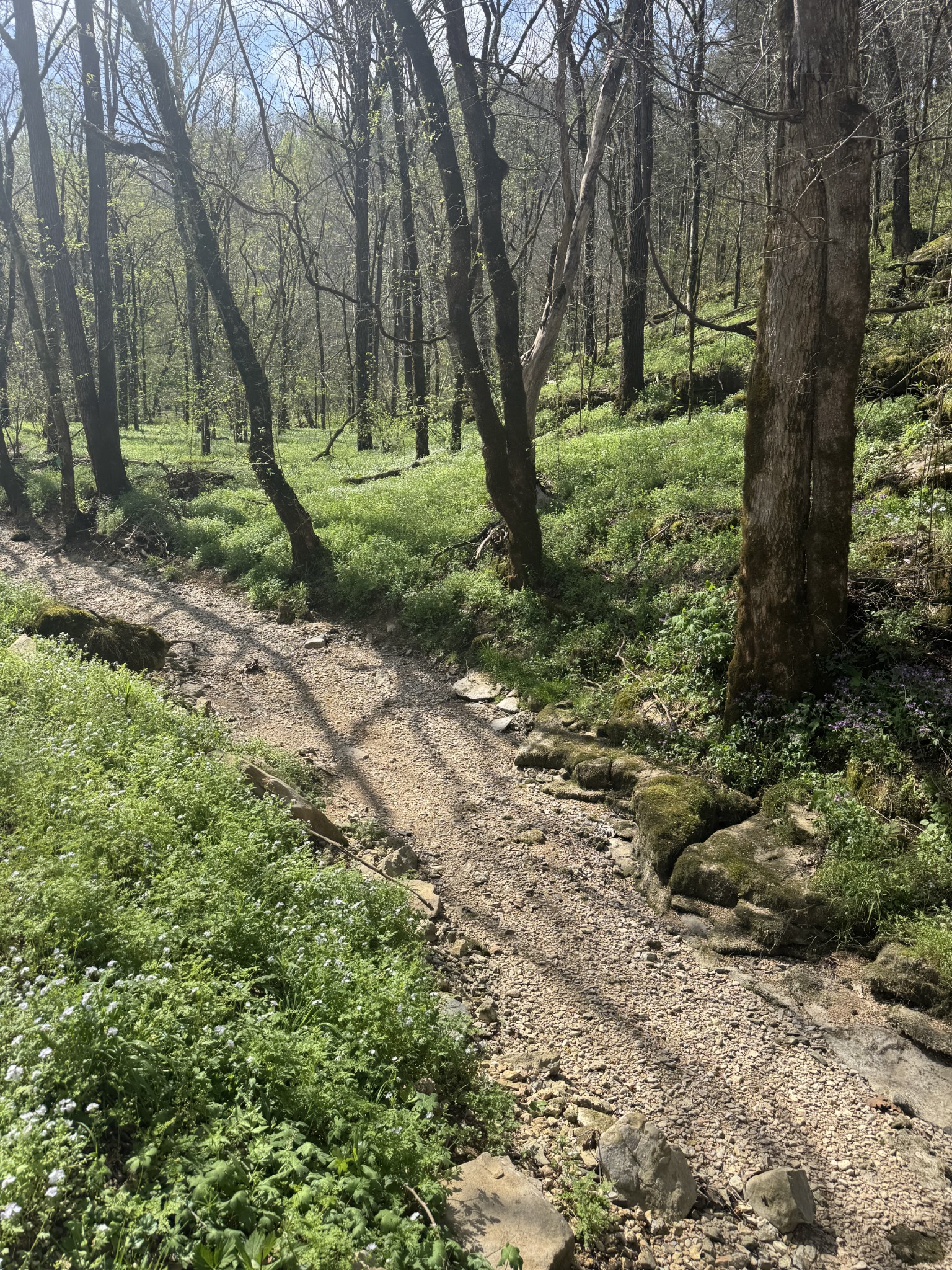 0 Mcbroom Branch Road Baxter TN 38544