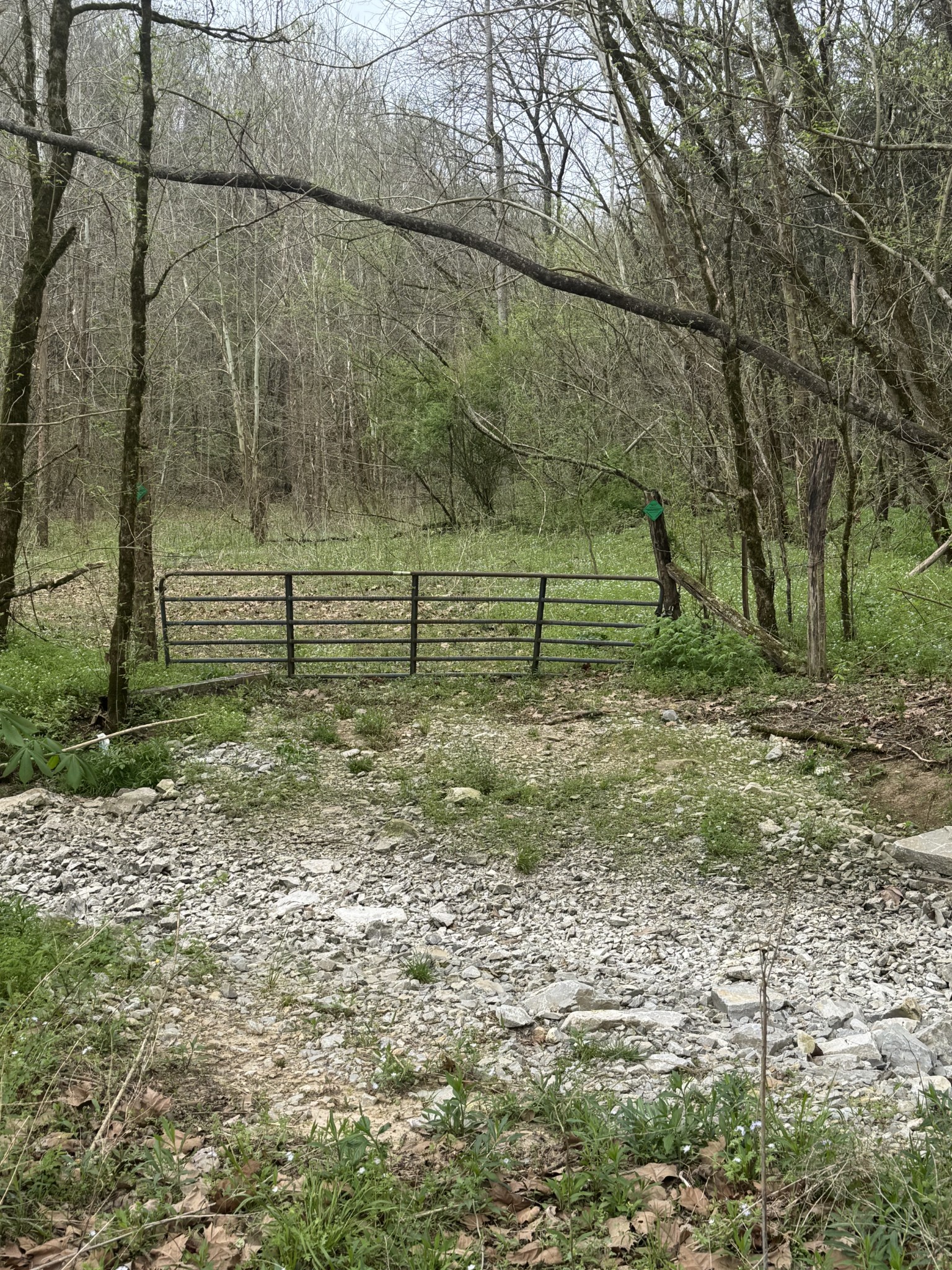 0 Mcbroom Branch Road Baxter TN 38544