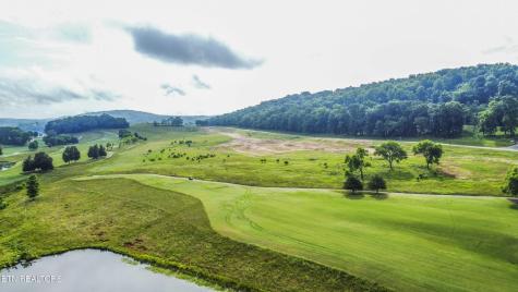 494 Black Bear Circle Loudon TN 37774