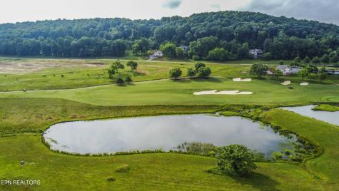 494 Black Bear Circle Loudon TN 37774