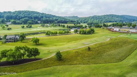 494 Black Bear Circle Loudon TN 37774