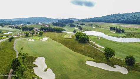 494 Black Bear Circle Loudon TN 37774