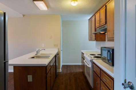 513 Eysian Drive Clarksville TN 37040