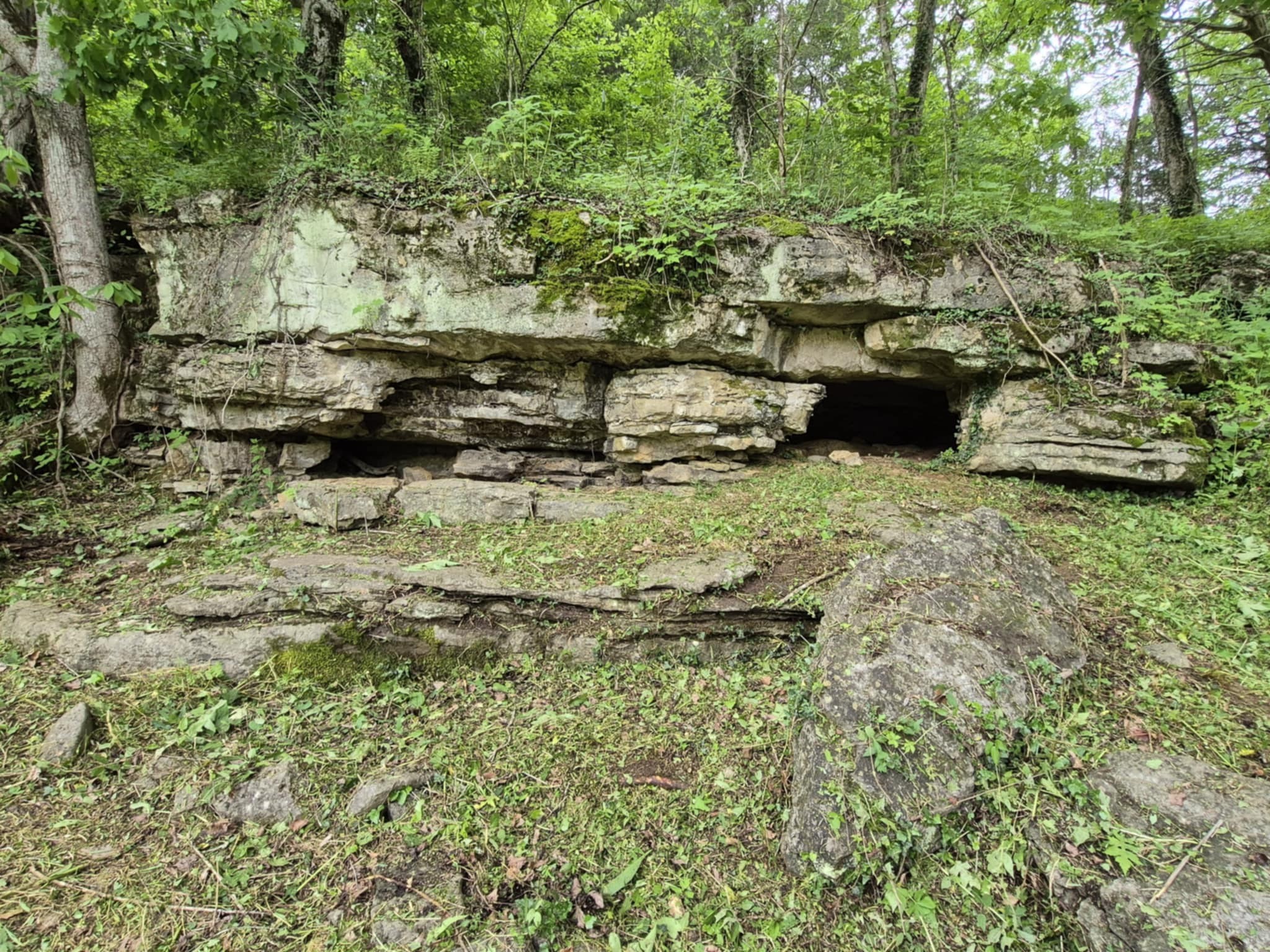 2203 Stones River Road Woodbury TN 37190