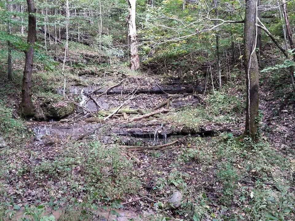 2203 Stones River Road Woodbury TN 37190